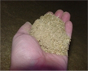Sawdust