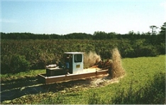 Trying to keep the waterway open in Lake Victoria