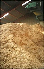Sawdust